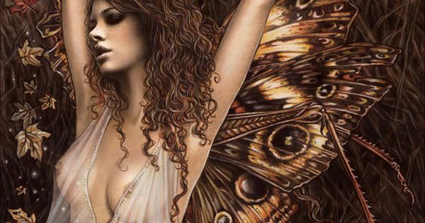 mariposa