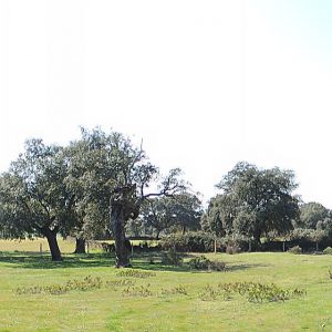 educacionambiental