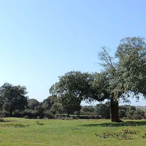 educacionambiental